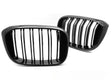 Schwarzer Doppelsteg Kühlergrill für BMW X3 G01 X4 G02 Tuning Zubehör