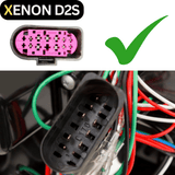 Xenon D2S Brenner Stecker mit Kabelbaum und grünem Haken für KFZ-Tuning und Scheinwerfer